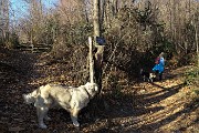 46 Il cagnolone Ragu ci segue ancora